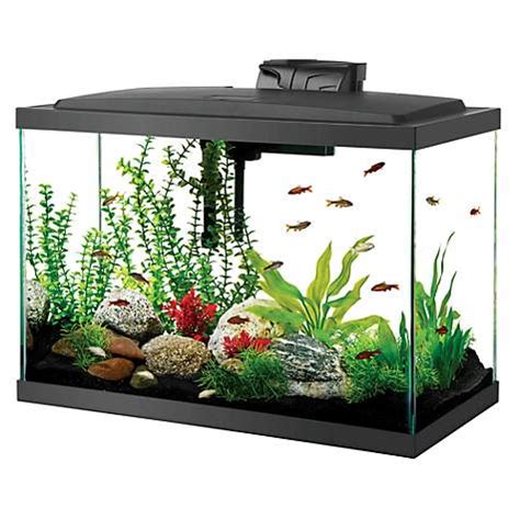 20 gallon tank how many fish|Aquarium Stocking Calculator – How Many Fish Can .